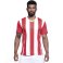 Camiseta de fútbol de rayas hombre Premier. .