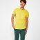 Camiseta básica hombre BRACO ROLY. .