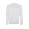 Sudadera básica unisex AWDis JH030. Color ash.
