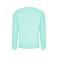 Sudadera básica unisex AWDis JH030. Color peppermint.