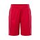 Pantalón de fútbol niño Basic Team Shorts. .