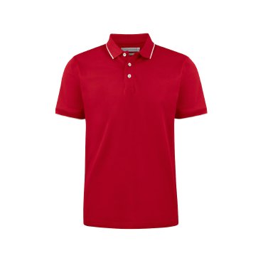 Polo cuello rayado hombre Greenville