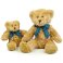 Oso de peluche MM01 Bracken. .