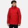 Chaqueta de invierno acolchada hombre TRA361 Beauford. .