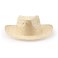 Pack 250 Uds Sombrero de paja Halley. .