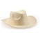 Pack 250 Uds Sombrero de paja Halley. .