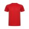 Camiseta deportiva hombre Montecarlo. .