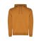 Sudadera con capucha hombre Urban. .
