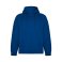 Sudadera con capucha orgánica/reciclada hombre Vinson. .