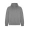 Sudadera con capucha orgánica/reciclada hombre Vinson. .