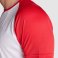Camiseta deportiva hombre Indianapolis. .