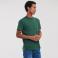 Camiseta básica hombre R-180m-0. Color verde botella.