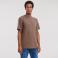 Camiseta básica hombre R-180m-0. Color mocha.