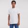 Camiseta básica hombre R-180m-0. Color blanco.