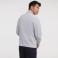 Sudadera con cremallera hombre R-267M-0 Authentic. Color light oxford.