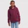 Sudadera con capucha niño R-265b-0. Color burdeos.