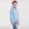 Sudadera con capucha niño R-575b-0. Color azul cielo.