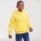 Sudadera con capucha niño R-575b-0. Color amarillo.