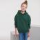 Sudadera con capucha niño R-575b-0. Color verde botella.