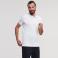 Polo básico hombre R-566M-0 Strech. Color blanco.
