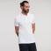Polo básico hombre R-566M-0 Strech. Color blanco.