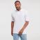 Polo básico hombre R-599M-0 Hard. Color blanco.
