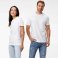 Camiseta básica unisex BS060. .