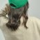Gorra snapback Athitc. .