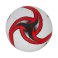 Balón de fútbol PA876. .