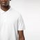 Polo hombre K290. .