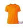 Camiseta técnica pack de 5 Ud. hombre Nocaut Gama. .