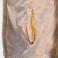 Chubasquero deportivo unisex Explorer V. Color oro.