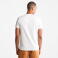Camiseta orgánica hombre Dunstan River. Color white.