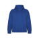 Sudadera con capucha orgánica/reciclada hombre Vinson. Color royal.
