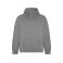 Sudadera con capucha orgánica/reciclada hombre Vinson. Color gris vigoré.
