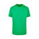 Camiseta unisex BY004. Color verde hierba.