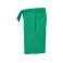 Pantalón corto deportivo niño BYBB034. .