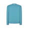 Sudadera básica unisex Sweatshirt. Color aquamarine.