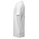 Camiseta org&aacute;nica hombre Scarsdale T-Shirt. Color blanco.