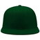 Gorra visera plana Atsnap. .
