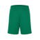 Pantalón de fútbol hombre JN387. Color green/white.