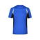 Camiseta de running hombre JN391. Color royal/black.