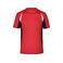 Camiseta de running hombre JN391. Color red/black.
