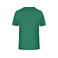 Camiseta deportiva hombre JN736. Color green.