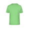 Camiseta deportiva hombre JN736. Color lime/green.