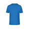 Camiseta deportiva hombre JN736. Color royal.