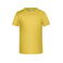 Camiseta hombre JN745. Color yellow.