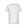Camiseta hombre JN745. Color ash.