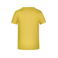 Camiseta hombre JN745. Color yellow.