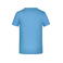 Camiseta hombre JN745. Color sky/blue.